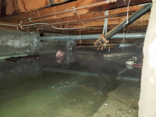 Best Local water damage restoration  in Grand Mound, WA