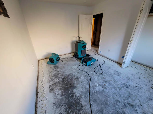 Best Flooded house restoration  in Grand Mound, WA