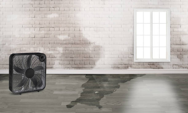 Best Residential water damage restoration  in Grand Mound, WA