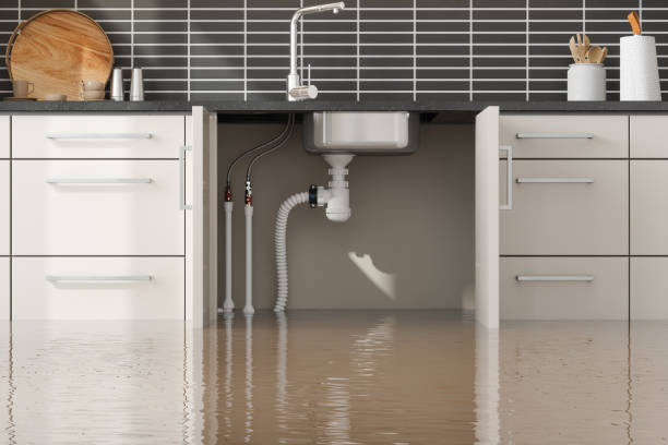 Best Sewage cleanup and water damage restoration  in Grand Mound, WA