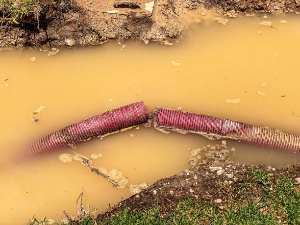  Grand Mound, WA Water damage restoration Pros